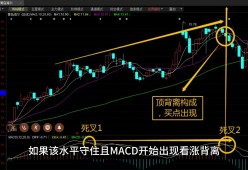 九游网页版入口-XRP上扬势惊人，一夜飙升28.25%，加密市场沸腾