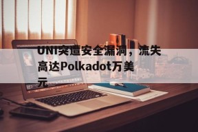 九游网页版入口-关于UNI突遭安全漏洞，流失高达Polkadot万美元的信息