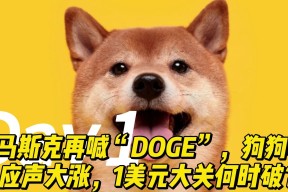 九游官网-马斯克再次发推，狗狗币瞬间上上扬340%！