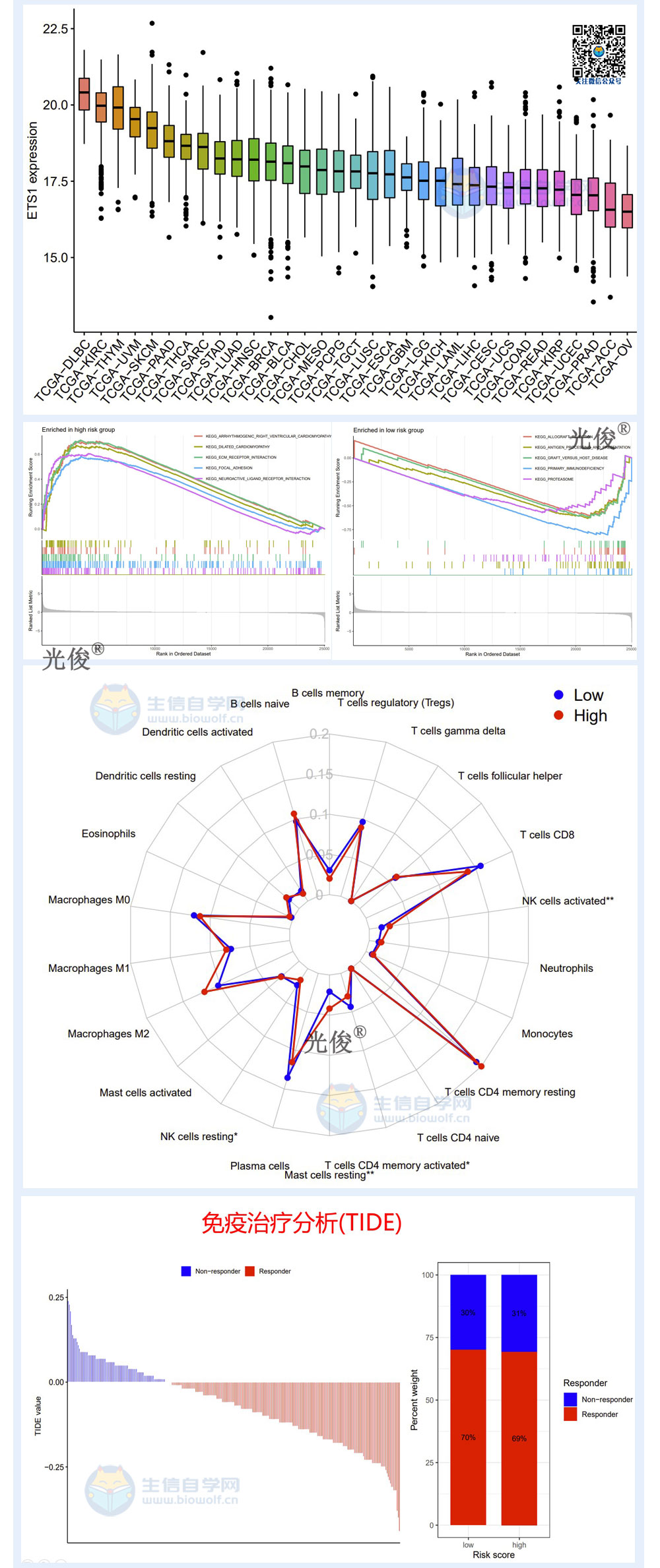 UNI上扬势惊人，一夜飙升266%，加密市场沸腾